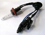APP лампы H11 6000 K Xenon Sho-me (мин.2 шт.) оптом